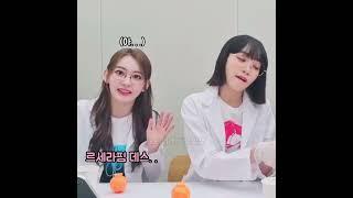 실수로 아이즈원을 외친 르세라핌 채원 쿠라