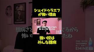 青木真也がシェイドゥラエフを絶賛する理由