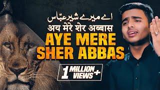 New Noha 2019/1441 | Aye Mere Sher Abbas | Ali Mohammad Sultanpuri | Nohay 2019 | waiz sultanpuri