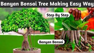 Banyan Bonsai Tree Making Easy Way