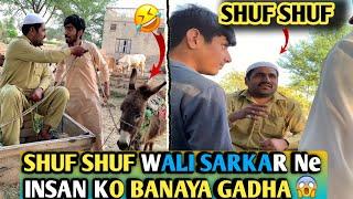 Shuf Shuf Wali Sarkar 2.0 || full comedy video ||funny video