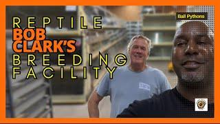 Bob Clark’s Reptile Breeding Facility | #youtubevideos #snake #reptiles #pets