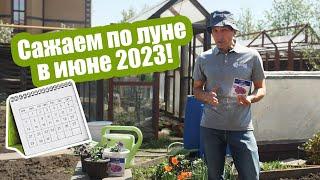 Лунный календарь огородника на июнь 2023. Благоприятные дни для огорода в июне