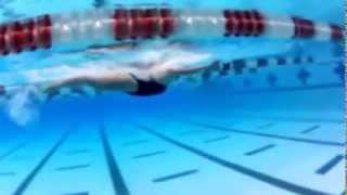 Molly Hannis Breaststroke Breakdown