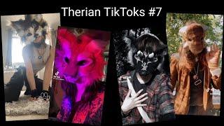 Therian TikTok Compilation #7