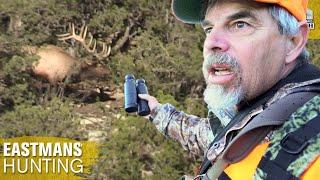 Elk Hunting One Of Colorado's Best Areas