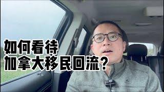 如何看待加拿大移民回流？