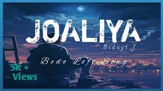 JAOLIYA || Bidyut J Basumatary || Bodo Lofi Song || #lofi #bodolofi @nwjwrofficial2108