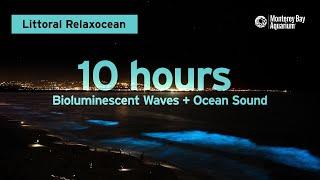 10 Hours Of Bioluminescent Waves + Ocean Sounds From Monterey Bay To Chill/Relax/Study/Work To