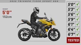 2025 Triumph Tiger Sport 800