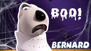 Bernard's Scariest Moments: When Fear Took Over! | Full Episodes | VIDEOS and CARTOONS FOR KIDS