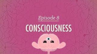 Consciousness: Crash Course Psychology #8