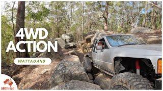 First Full-Day Drive with Hilux: Tackling Watagans’ Technical 4WD Tracks