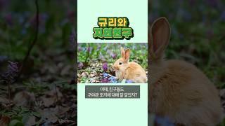 자연관찰 나는 누구일까요?ㅣExploring Nature Who am I? ㅣRabbitㅣ토끼ㅣ#shorts
