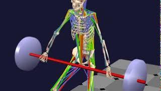 Weightlifting biomechanics