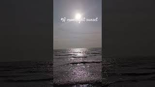 #Beach # Oceanlife # Onwhitehorses#equestrianlife #theothersideofmakebelieve #horsegirl