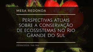 Perspectivas atuais sobre a conservação de ecossistemas no Rio Grande do Sul