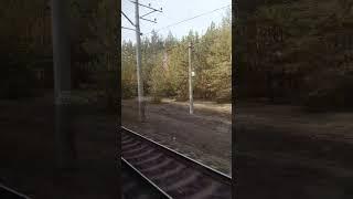 Ёлочки в доль желеки