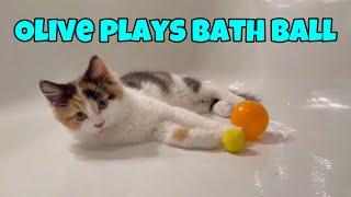 Olive Plays Bath Ball (4K)