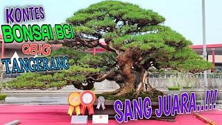 CHAMPIONS OF THE INTERNATIONAL BONSAI CONTEST BCI PPBI ON FIRE 2023 TANGERANG INDONESIA