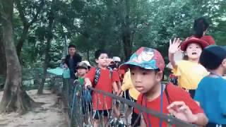 School Trip to Local Zoo (ILBC)