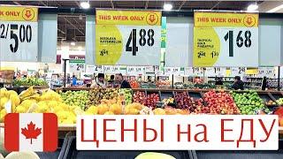 ЦЕНЫ НА ПРОДУКТЫ В Канаде | COSTCO, WALMART, FOOD BASICS | ЧТО МЫ ЕДИМ В КАНАДЕ? Иммиграция в Канаду