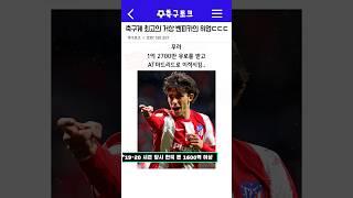 축구계 최고의 거상 벤피카의 위엄ㄷㄷㄷ
