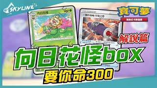 【天線 SkyLine】向日花怪box 牙龍之卷 解說篇 OHKO｜寶可夢 Pokemon TCG ポケモンカード｜キマワリ Sunflora 牙竜の巻