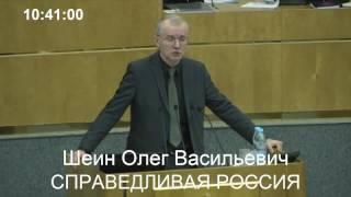 Олег Шеин: свобода собраний – это основа демократии