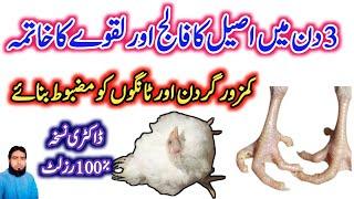 Chicken Paralyses Treatment | Aseel k falij ka ilaj | Aseel k lakwa ka ilaj