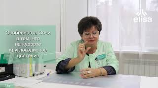 Календарь цветения: как выжить аллергику? / Аллерголог о поллинозе в Сочи