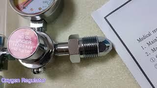 Bull nose Medical Oxygen Cylinder pressure regulator with flowmeter