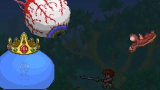 Terraria hardest difficulty (modded) compilation