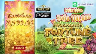 fortune tree PG SLOT Thailand easy jackpot