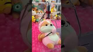 Has this ever happened to YOU when you played a CLAW Machine?