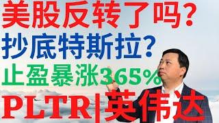 美股973|美股反转了吗?要抄底特斯拉吗?止盈暴涨365%,PLTR暴涨拐头?英伟达稳住了吗? #tsla #pltr #nvda #se #美股分析 #drmikeinvest