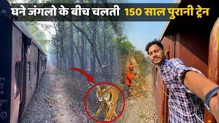 Journey through Dudhwa national park | Mailani to Nanpara meter gauge train Journey