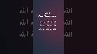 Сура аль муслимин