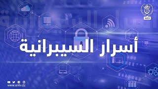 أسرار السيبرانية | عالم البيانات - تأمين البيانات الرقمية