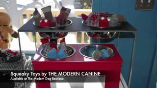 Fuego The Norwich Terrier - The Modern Canine