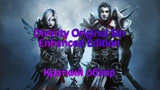 Краткий обзор Divinity Original Sin Enhanced Edition