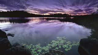ALAN WATTS CHILLSTEP 1  TERRESTRIAL EXITIUM 