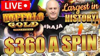 THE LARGEST BUFFALO GOLD SLOT PLAY IN HISTORY  HIGH LIMIT MAX BET $360 SPINS!