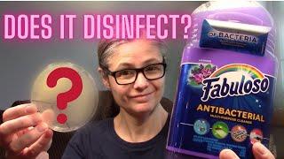 Testing Fabuloso To See If It Removes Bacteria My Home! - Viewer Request!