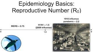 Epidemiology Basics:  Reproductive Number (R0)