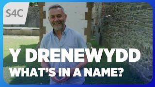 Why is Newtown called Newtown? | Y Drenewydd | Tudur Owen: What's in a name? | S4C