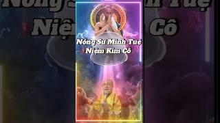 Thích Minh Tuệ niệm chú #thichminhtue #adidaphat #phatphap #ducphatthichcamauni #quantheam #quyy