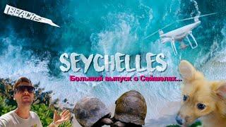  Secret Locations in Seychelles: Discover the Best Island in the World!