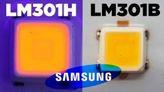 ARE YOUR LED's REAL?? Samsung LM301H vs LM301B vs LM301D vs 2835 - How to tell Fake LED Grow Lights