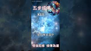五步成佛 第五步：悟後起修，修煉為道 #開悟 #覺醒 #靈性成長
